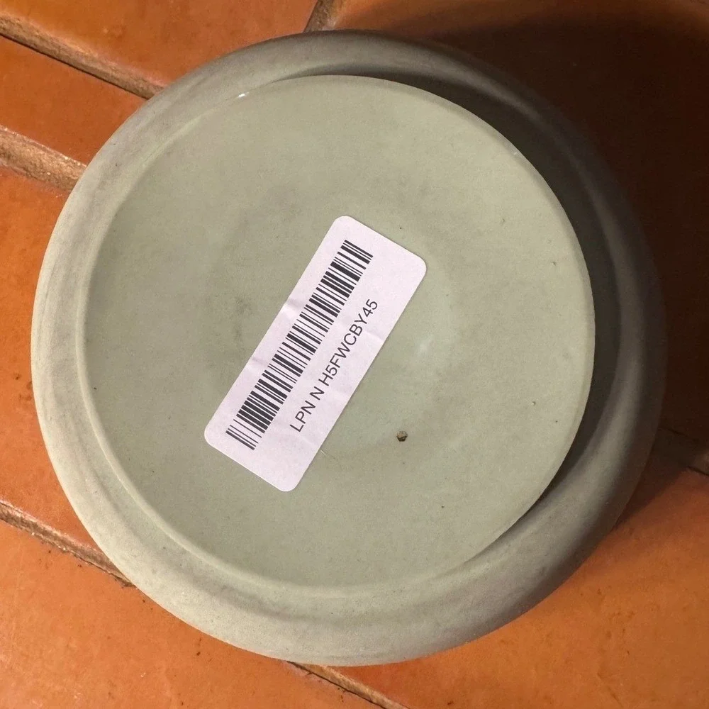 BESTALK Slow Feeder Dog Bowl Sage Green Silicone Non-Slip Pet Food Water Bowl